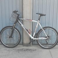 MTB  BOTTECCHIA FX 530 Uomo