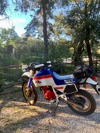 Honda xl 600 lm