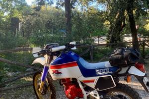 Honda xl 600 lm