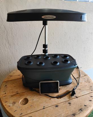 Serra idroponica Aerogarden Bounty