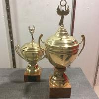 Coppe Trofei di varie misure