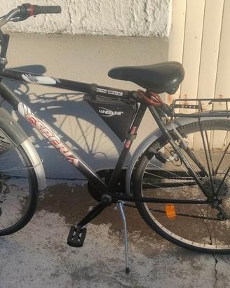 biciclette uomo/donna
