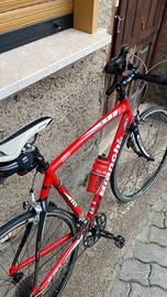 Bianchi nirone
