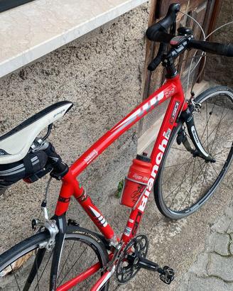 Bianchi nirone