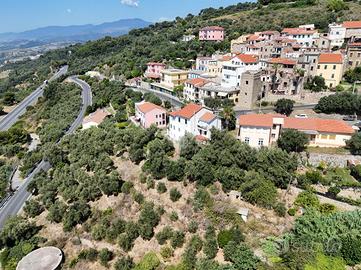 TER. AGRICOLO A CIPRESSA