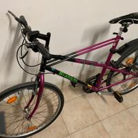 Bicicletta Bianchi Thomisu viola 26"