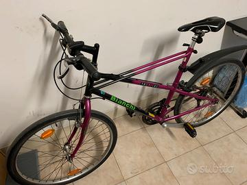 Bicicletta Bianchi Thomisu viola 26"