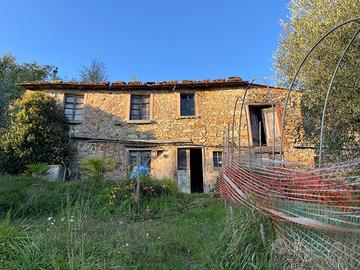Rustico con oliveto a San Quirico di Valleriana