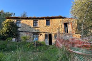 Rustico con oliveto a San Quirico di Valleriana