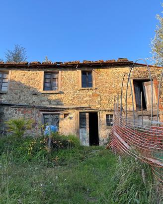 Rustico con oliveto a San Quirico di Valleriana