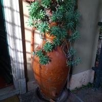 Antica Giara anni '50