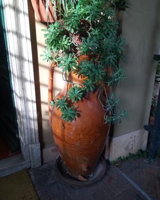 Antica Giara anni '50