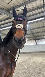 Testiera messicana equipe