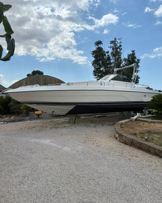 Lupo di Mare Open - CONAM