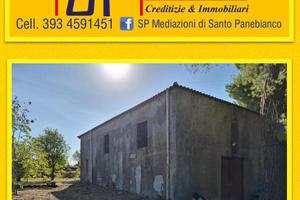 Magazzino con area esterna