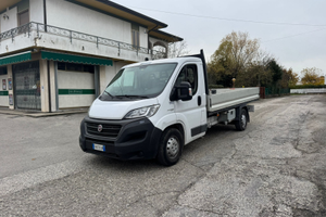 Ducato