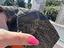 Immagine 5