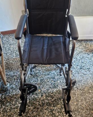 sedia a rotelle