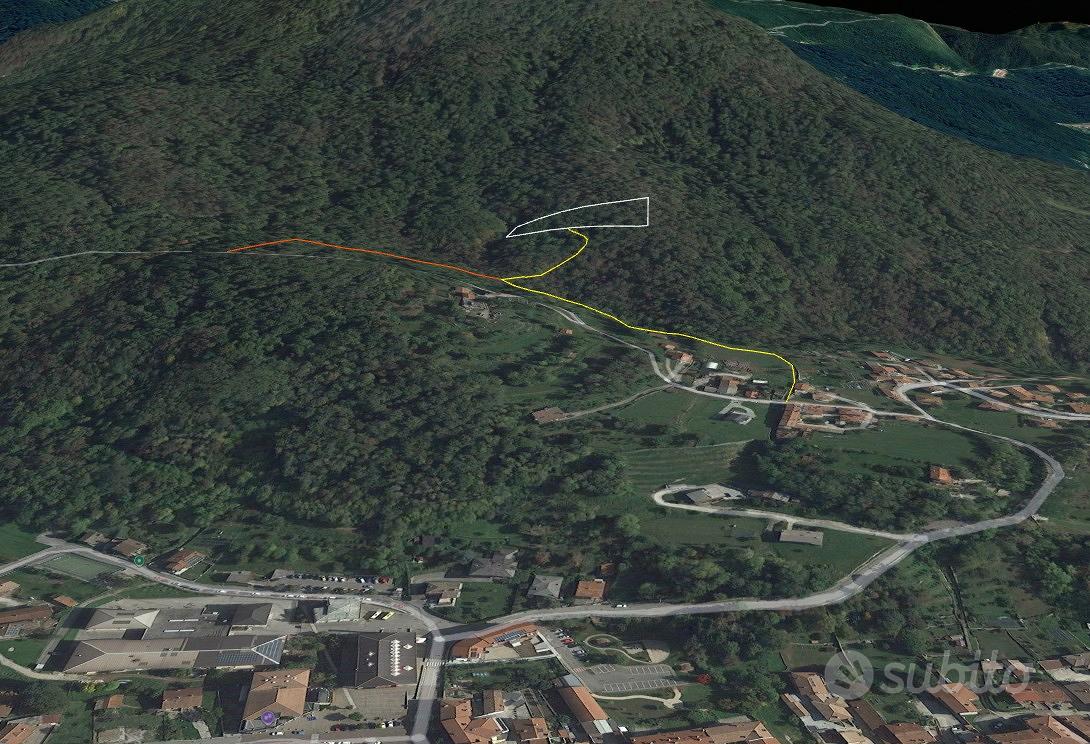 Terreno boschivo / castagneto ad Artegna - Vista 2