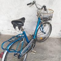 Bicicletta piegevole robusta