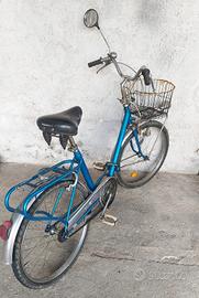 Bicicletta piegevole robusta