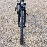 Due biciclette pedalata assistita 