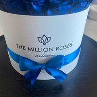 Rose biologiche stabilizzate