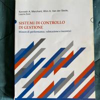 Libro sistemi di controllo di gestione
