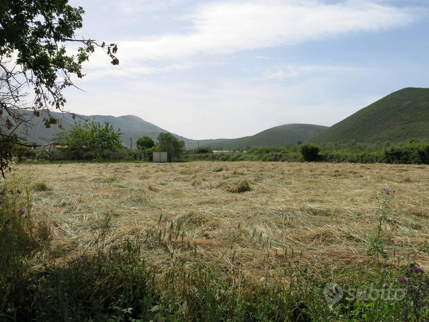 Terreno agricolo - Fondi - Vista 6