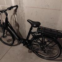bicicletta elettrica 