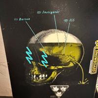 Tavola Snowboard 155