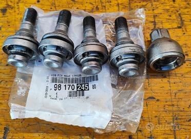 Dadi antifurto per cerchi in lega Citroen