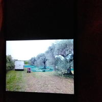 Terreno con uliveto secolare adjacent Oasi n