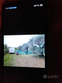 Terreno con uliveto secolare adjacent Oasi n
