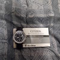 citizen eco drive pilot