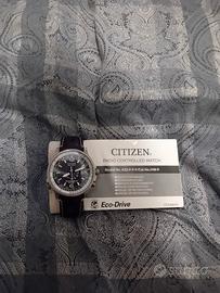 citizen eco drive pilot