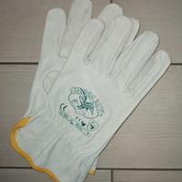 Guanti da lavoro protettivi in Pelle EN 388 CE Gio