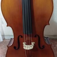 Violoncello 4/4 Nuovo - Modello Allegro