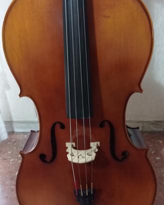 Violoncello 4/4 Nuovo - Modello Allegro