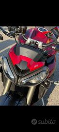 Cupolino street triple 765 RS dal 2023 in poi
