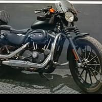 Harley 883 sportster iron n xl