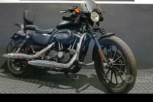 Harley 883 sportster iron n xl