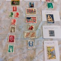 raccolte francobolli 