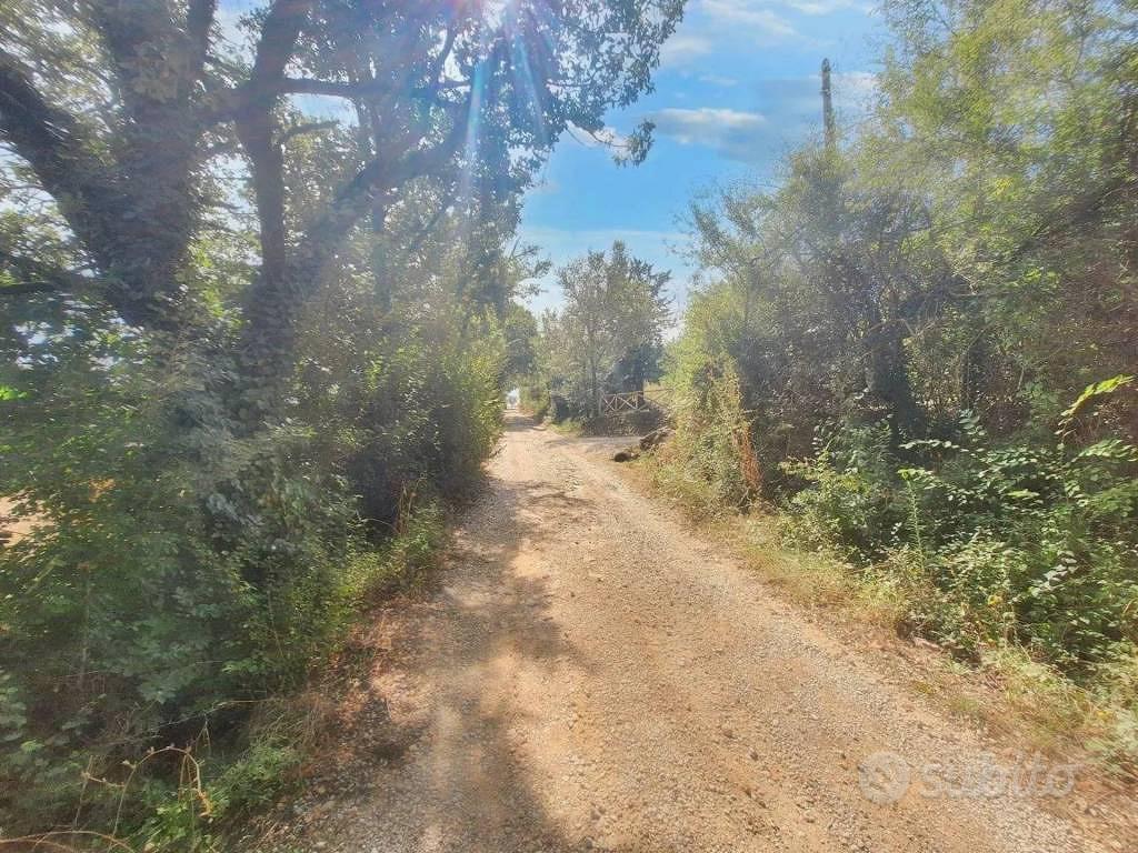 Immobile in asta di 16930 m² a Todi - Vista 5