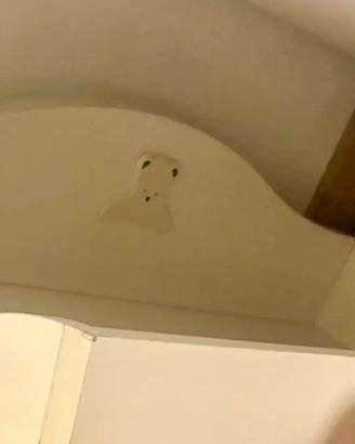 Armadio Mibb, cassettiera fasciatoio settim Azur