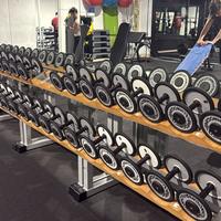 Serie manubri  technogym