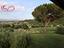 Immagine 21