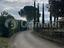 Immagine 7