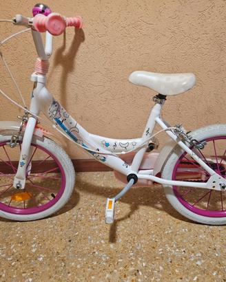 Bicicletta