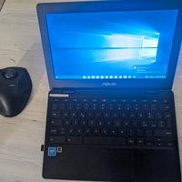 Asus Chromebook C204m